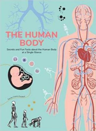 Human Body: Secrets And Fun Facts About The Human Body by Cristina Peraboni & Giulia De Amicis