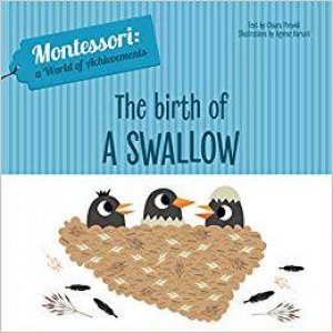 Birth Of A Swallow by Chiara Piroddi & Agnese Baruzzi