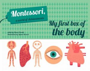 My First Box Of The Human Body by Chiara Piroddi