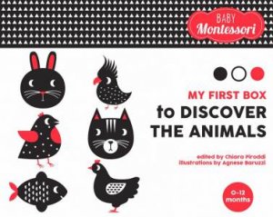 My First Box To Discover The Animals by Chiara Piroddi