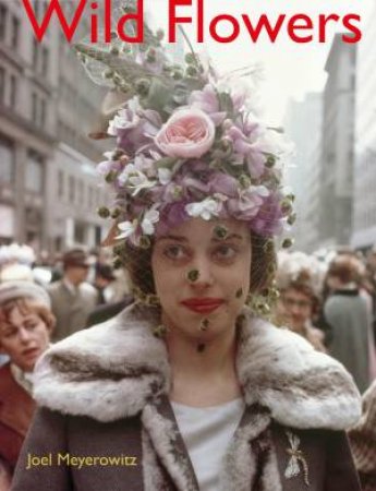 Joel Meyerowitz: Wild Flowers by Joel Meyerowitz