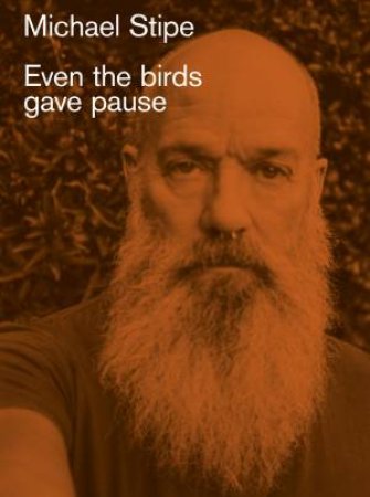 Michael Stipe: Even the birds gave pause by Michael Stipe