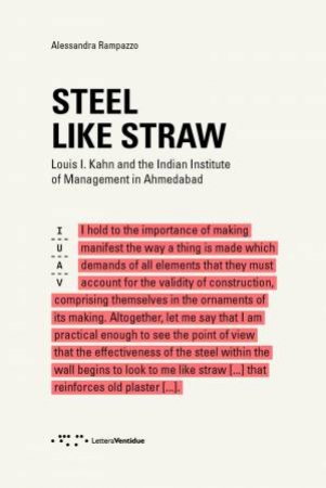 Steel Like Straw by Alessandra Rampazzo