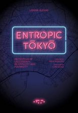 Entropic Tokyo Metropolis Of Uncertainty Multiplicity And Flexibility