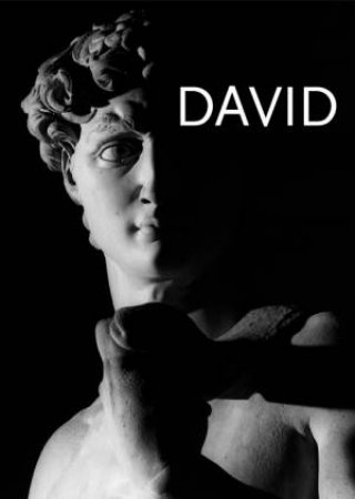 David: Michelangelo by AMENDOLA AURELIO AND PAOLUCCI ANTONIO