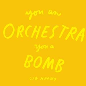 You An Orchestra You A Bomb by Cig Harvey