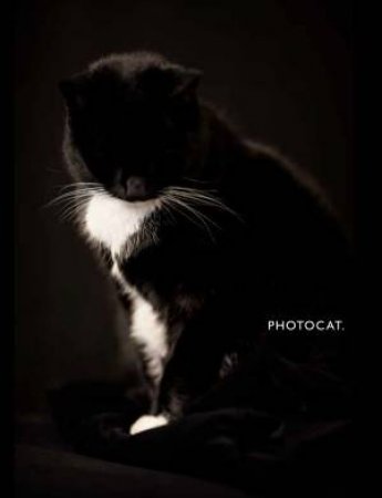 PhotoCat. by Sacha de Boer