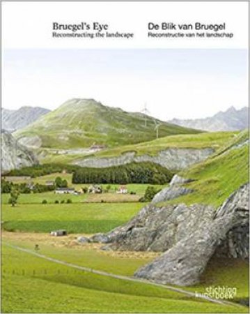 Bruegel's Eye: Reconstructing The Landscape by Stefan Devoldere