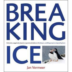 Breaking Ice by Jan Vermeer