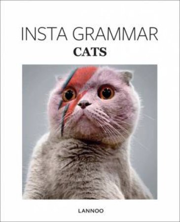 Insta Grammar: Cats by Irene Schampaert