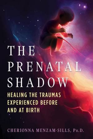 The Prenatal Shadow by Cherionna Menzam-Sills